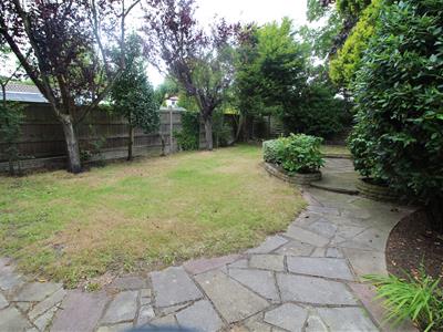 Picture 23